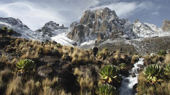 Mt. Kenya National Park, Kenya