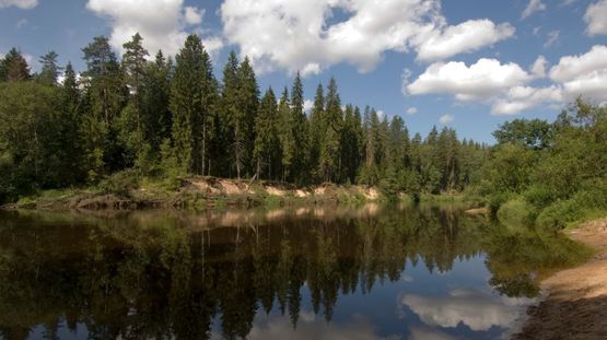 Gauja National Park, Latvia
