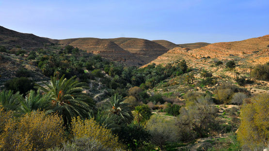 Jefren, Libya