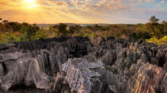 Madagascar
