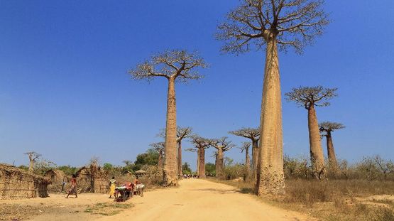 Morondava, Madagascar