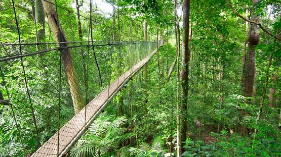 Taman Negara National Pk, Malaysia