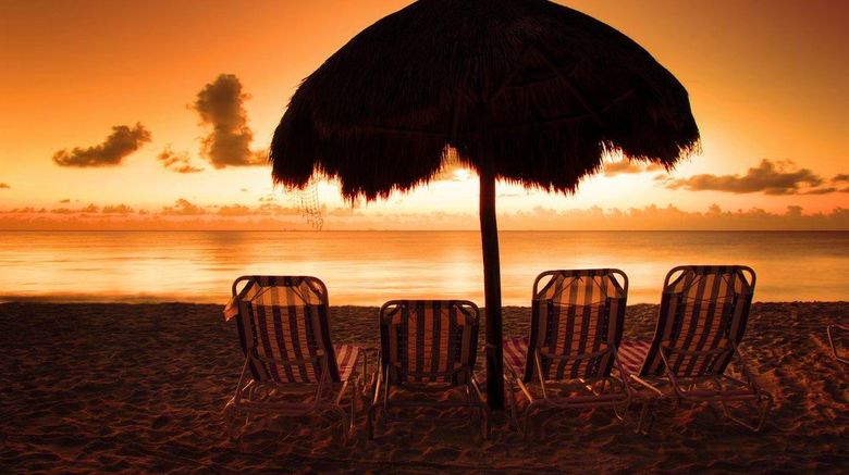 <b>Playa del Carmen Scenery</b>