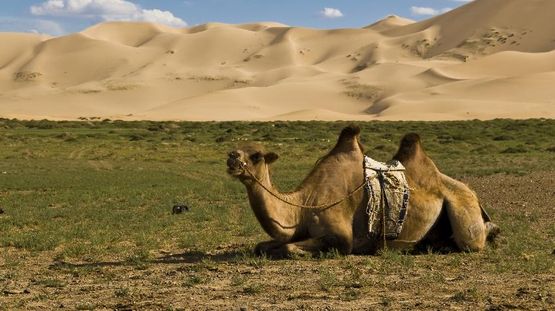 Saynshand, Mongolia