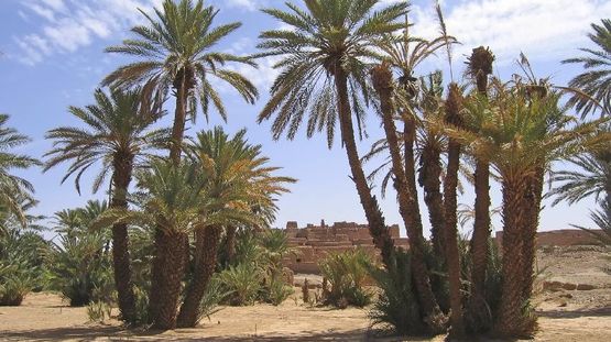 Zagora, Morocco