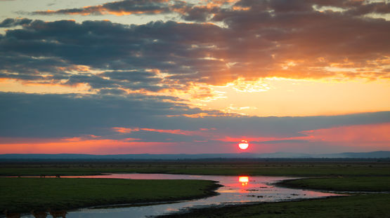 Gorongosa National Park, Mozambique