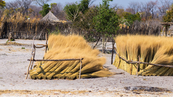 Caprivi Game Reserve, Namibia