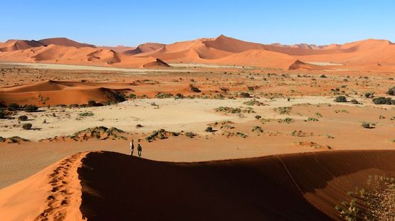 Namib-Naukluft National Park, Namibia