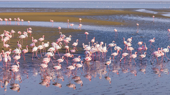 Walvis Bay, Namibia