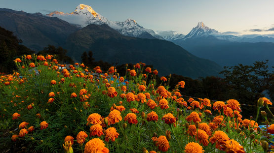 Nepal