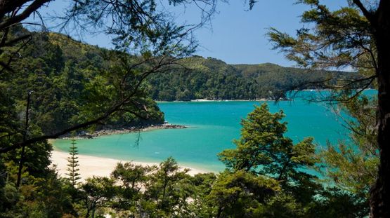Abel Tasman Natl Pk, New Zealand