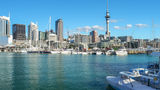 Auckland Scenery