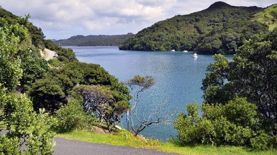 Great Barrier Is., New Zealand