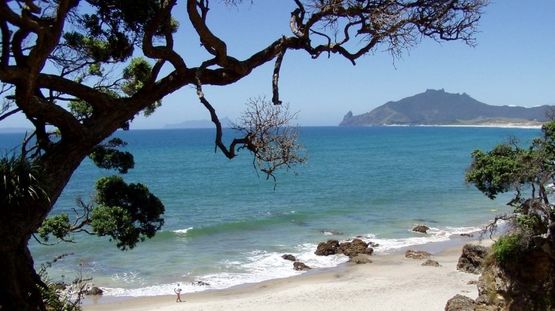 Whangarei, New Zealand