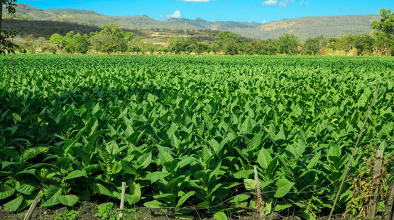 Esteli, Nicaragua