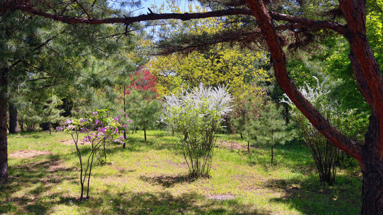 Mangyongdae, North Korea