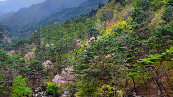 Myoyangsan, North Korea