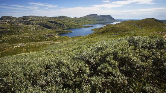 Telemark, Norway