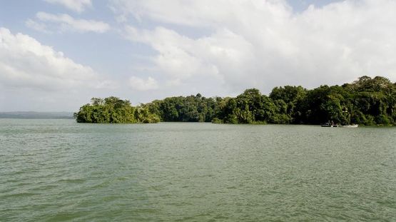 Barro Colorado Island, Panama