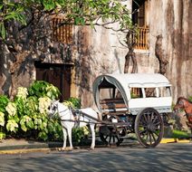 Manila Scenery