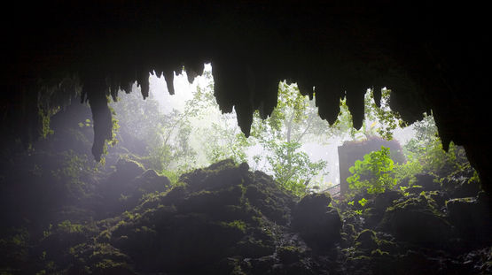 Rio Camuy Caves, Puerto Rico
