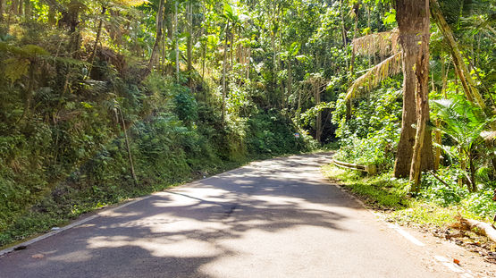 Ruta Panoramica, Puerto Rico