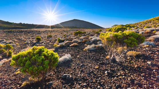 La Fournaise, Reunion Island
