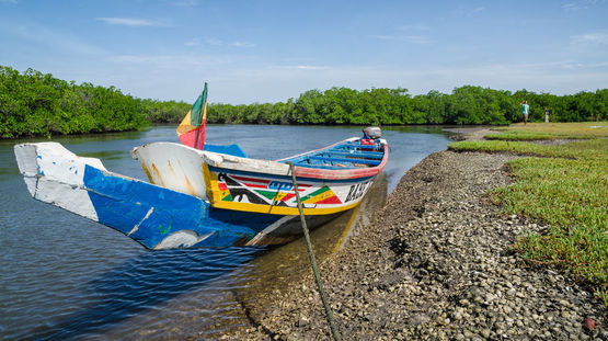 Sine-Saloum Delta, Senegal