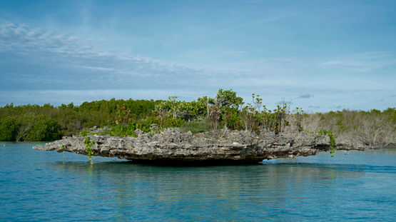 Aldabra Atoll, Seychelles