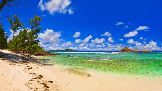 Cousin Island, Seychelles