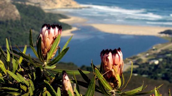 Garden Route, South Africa