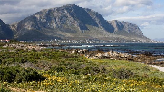 Hermanus, South Africa