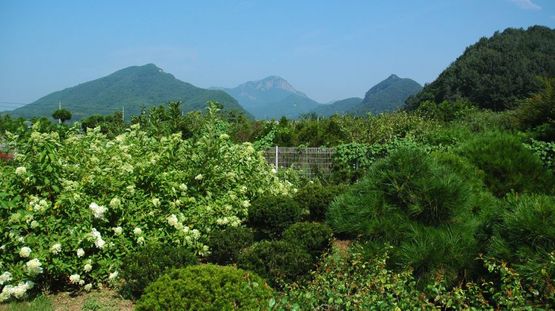 Western Coast, South Korea