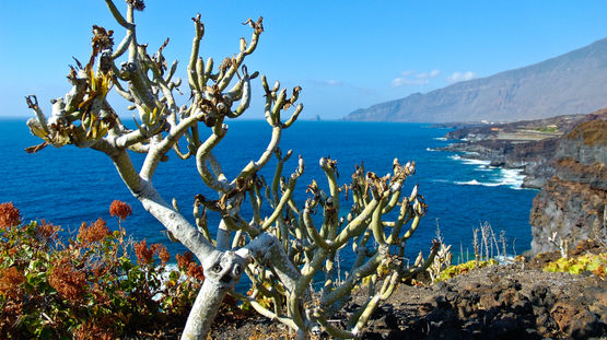 Hierro Island, Canary Islands, Spain