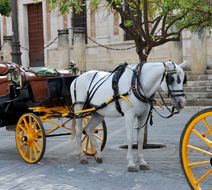 Seville Scenery