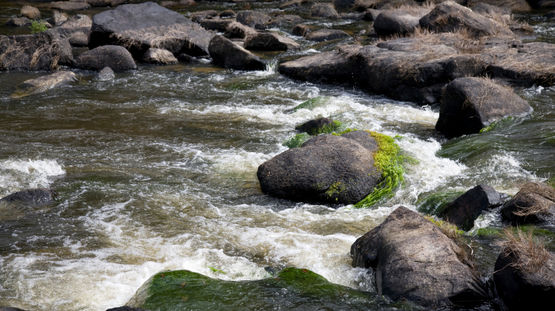 Raleighvallen (Raleigh Falls)/Voltzberg Reserve, Suriname