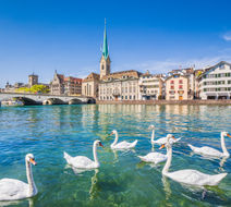Zurich Scenery