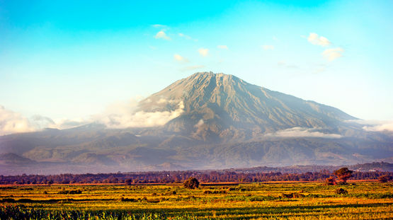 Arusha National Park, Tanzania