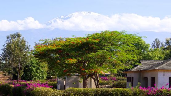 Moshi, Tanzania