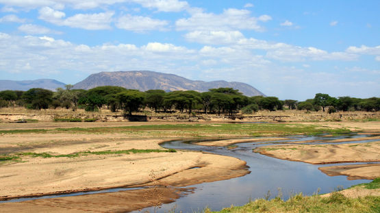 Ruaha National Park, Tanzania