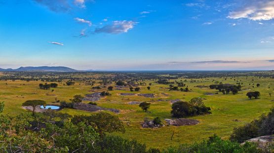 Serengeti Natl Park, Tanzania