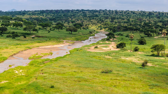 Tarangire National Park, Tanzania