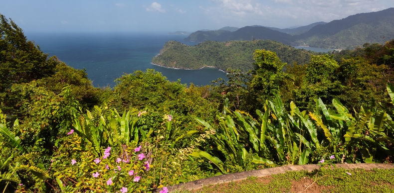 View of Maracas Bay