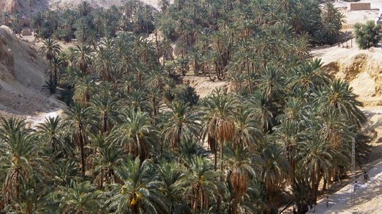 Nefta, Tunisia
