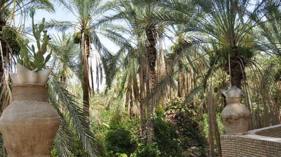 Tozeur, Tunisia