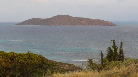 Buck Island, St Croix, US Virgin Islands