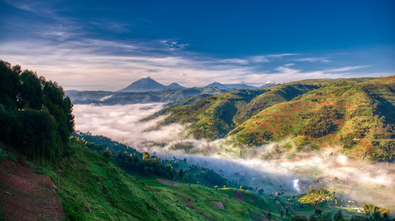 Bwindi National Park, Uganda