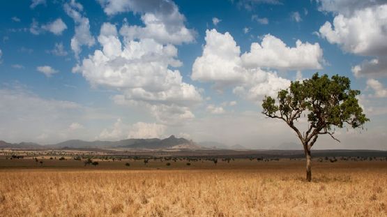 Kidepo Valley Park, Uganda