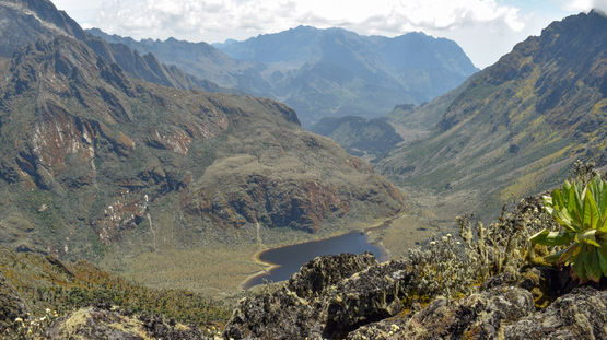 Rwenzori National Park, Uganda