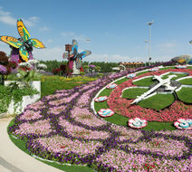 Dubai Scenery